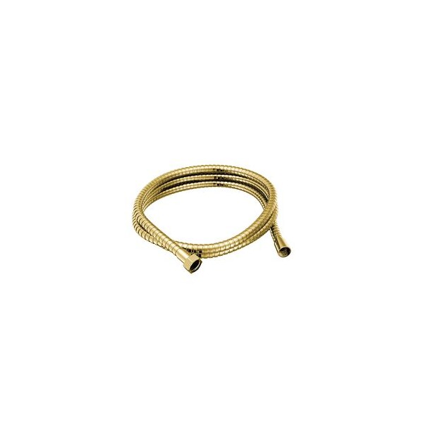 Polished Brass Handheld Shower Hose